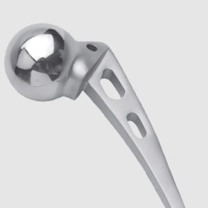 hip prosthesis
