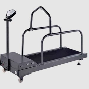 pet treadmill