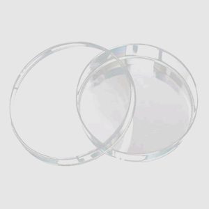 petridish glassware